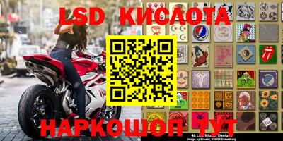 прущие грибы Усть-Илимск
