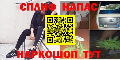 прущие грибы Усть-Илимск