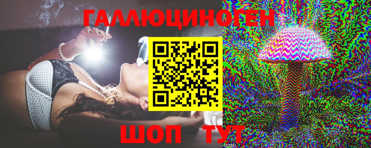 Галлюциногенные грибы Psilocybe Благодарный